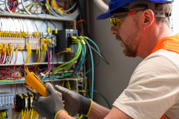 Best Electric Panel Repair  in Carey, OH