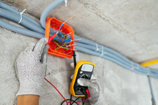 Best Ceiling Fan Installation Electrician  in Carey, OH